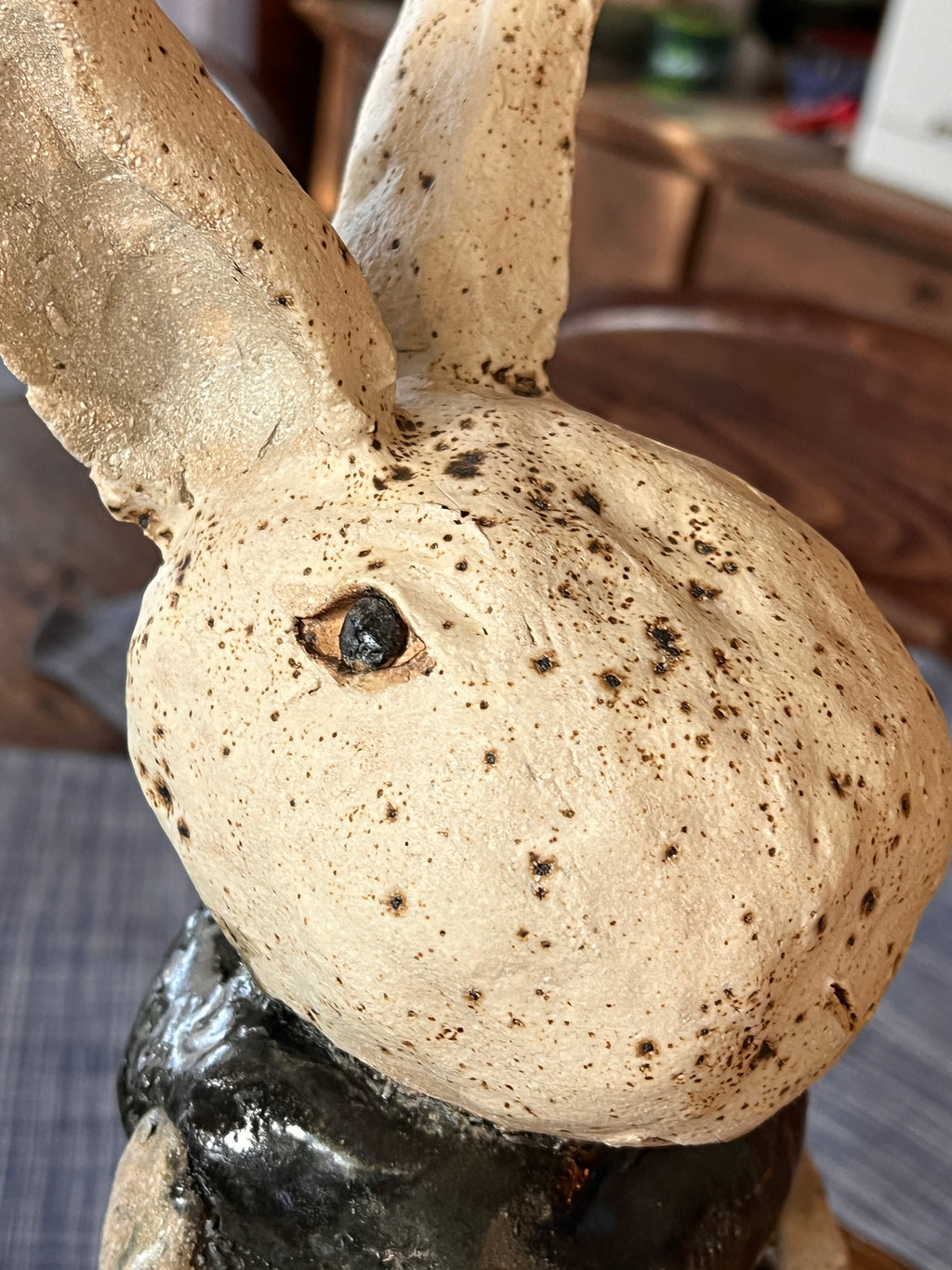 Twyla - The night rabbit — stargazer, screenwriter, creature of the dark