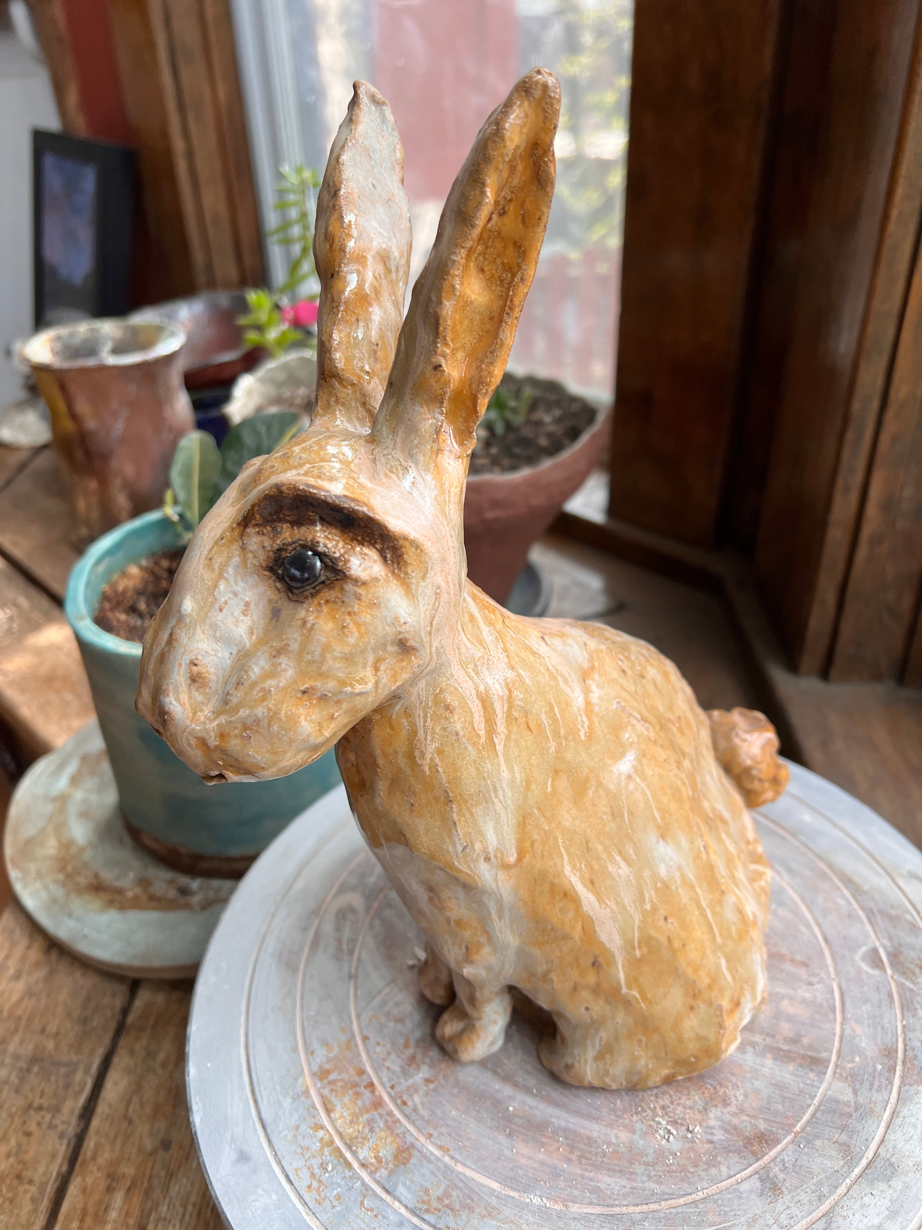 Vesper The country rabbit — a good-natured garden regular