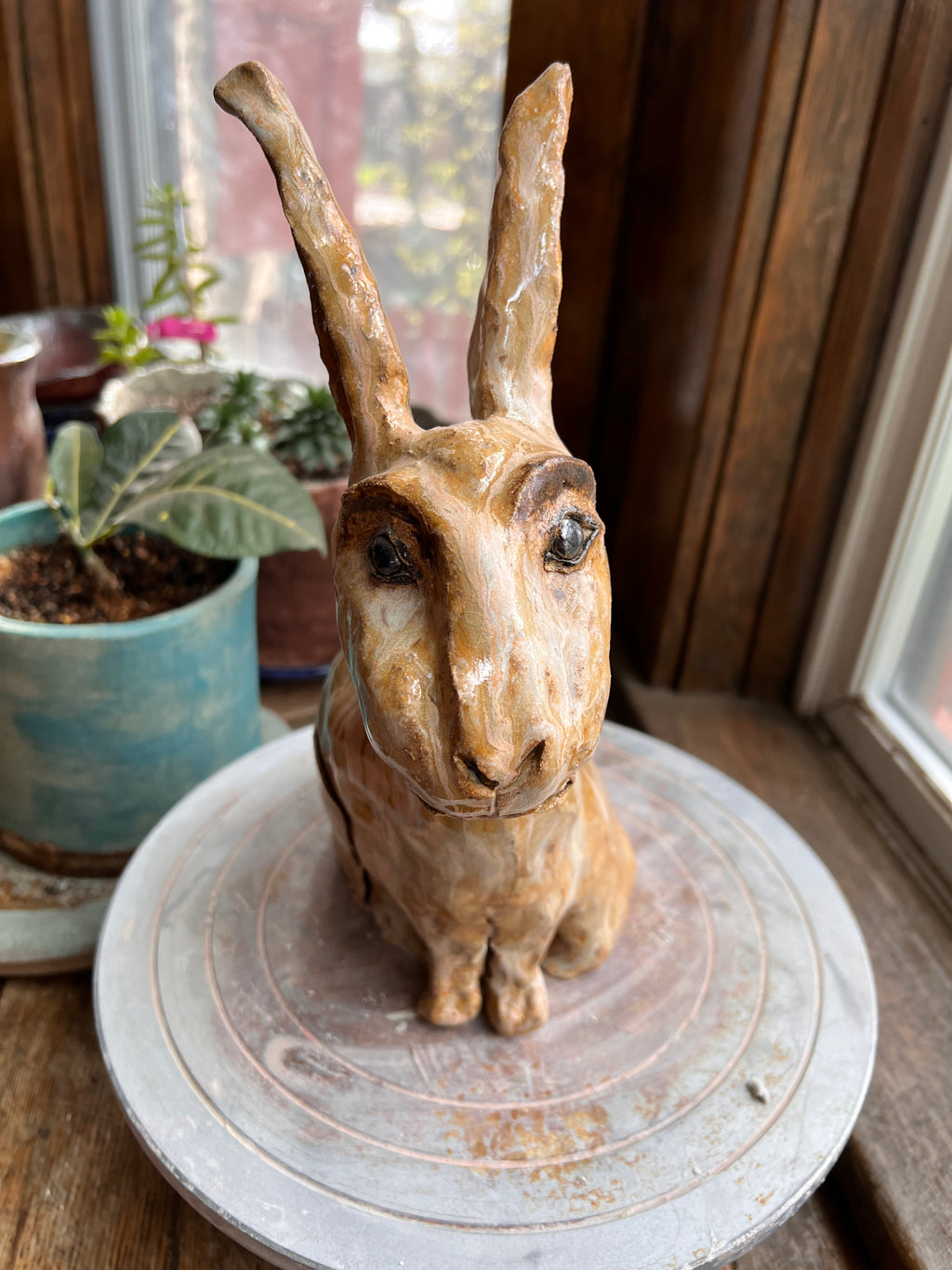 Vesper The country rabbit — a good-natured garden regular