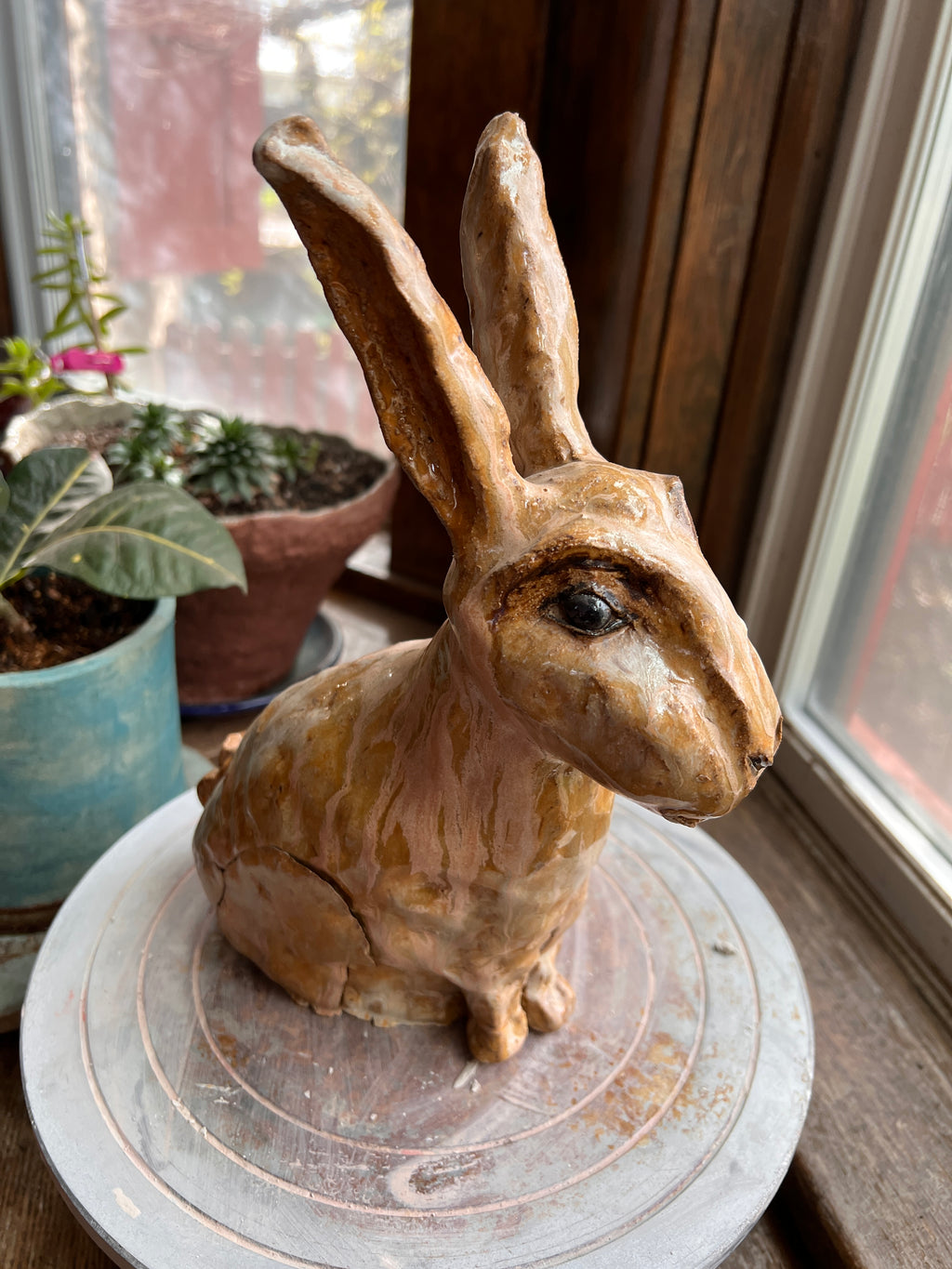 Vesper The country rabbit — a good-natured garden regular