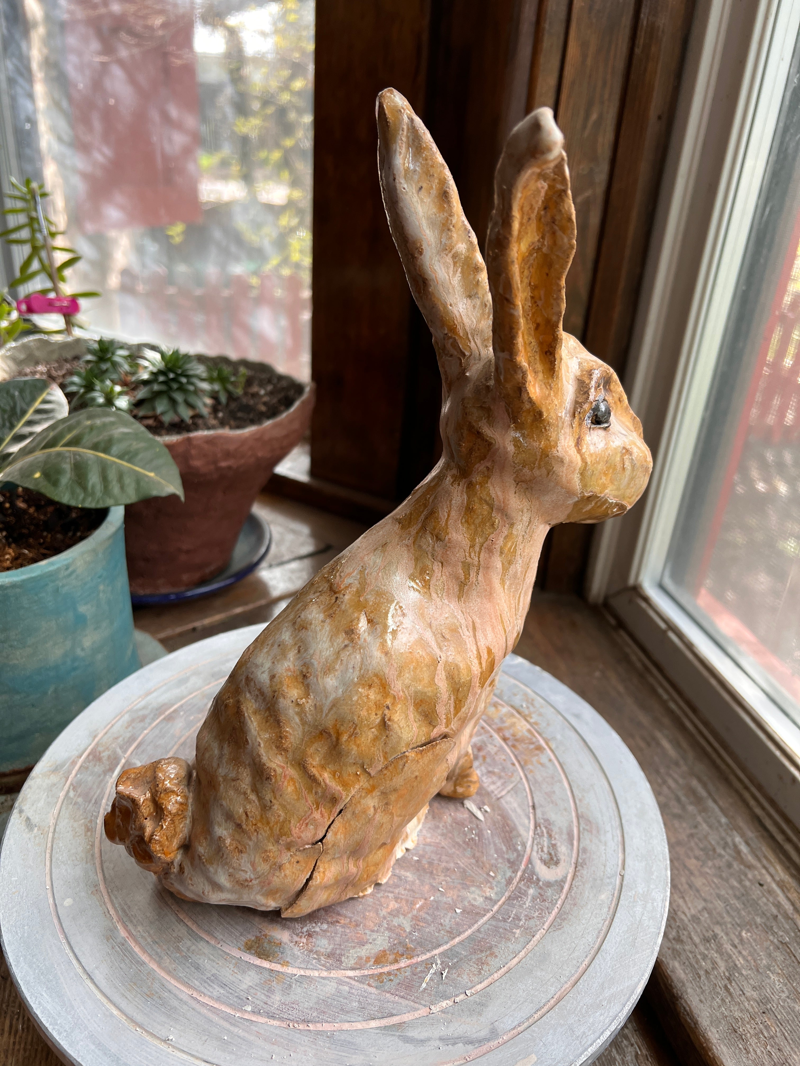 Vesper The country rabbit — a good-natured garden regular