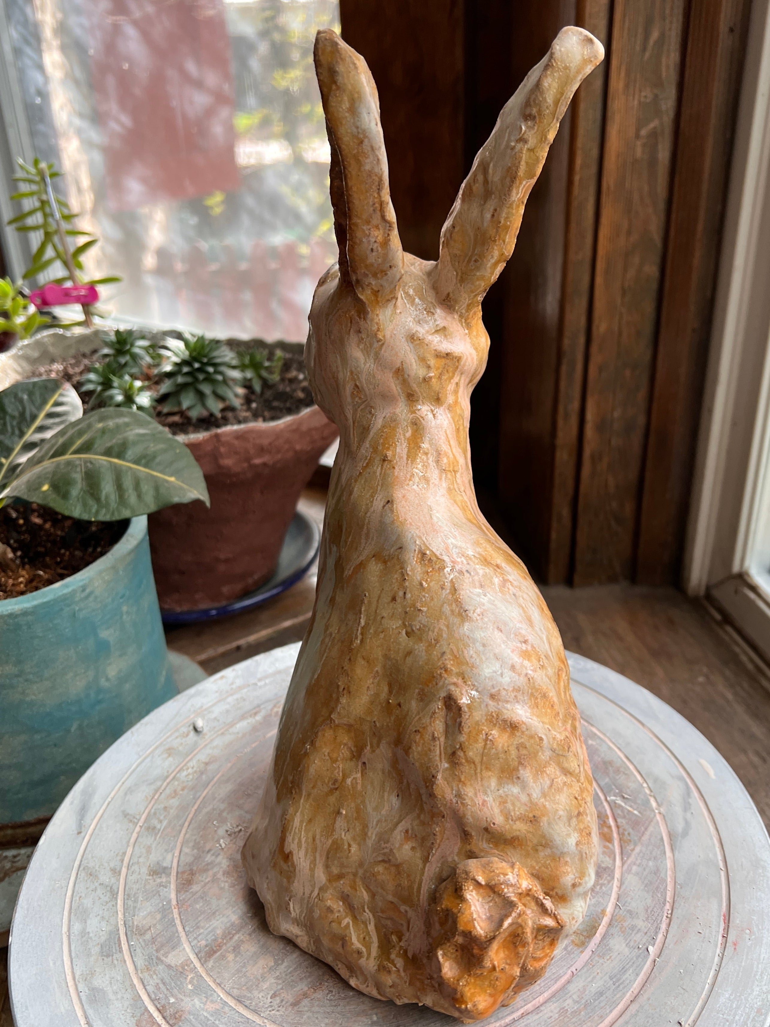 Vesper The country rabbit — a good-natured garden regular