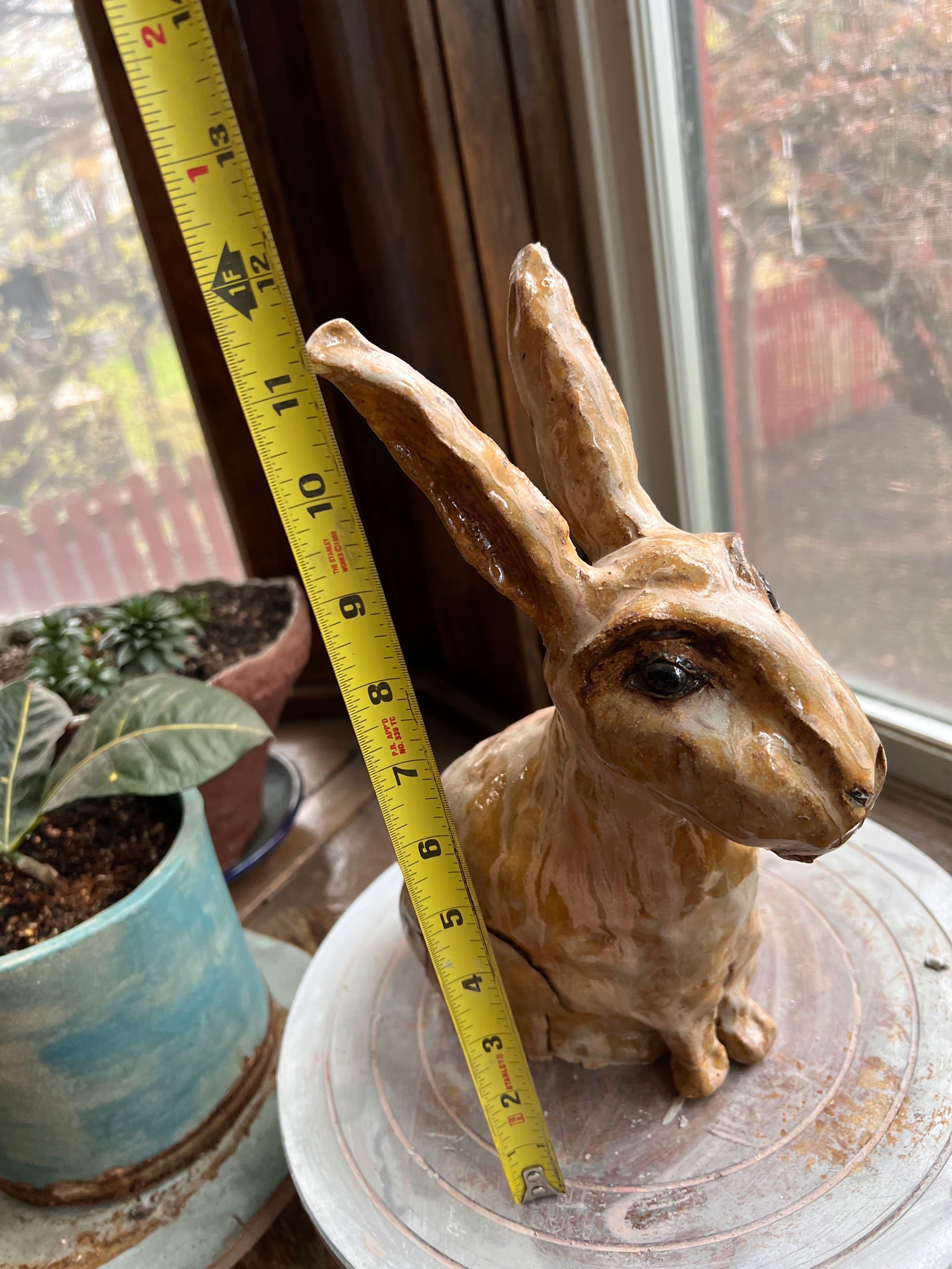 Vesper The country rabbit — a good-natured garden regular