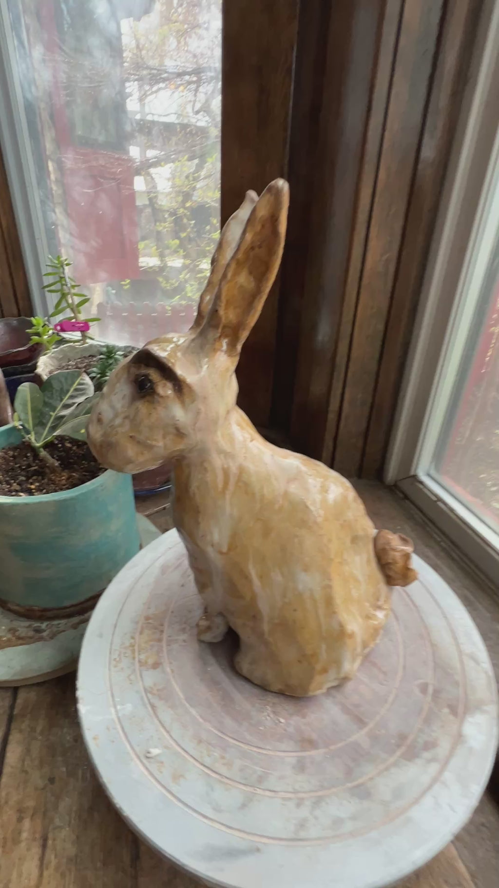 Vesper The country rabbit — a good-natured garden regular