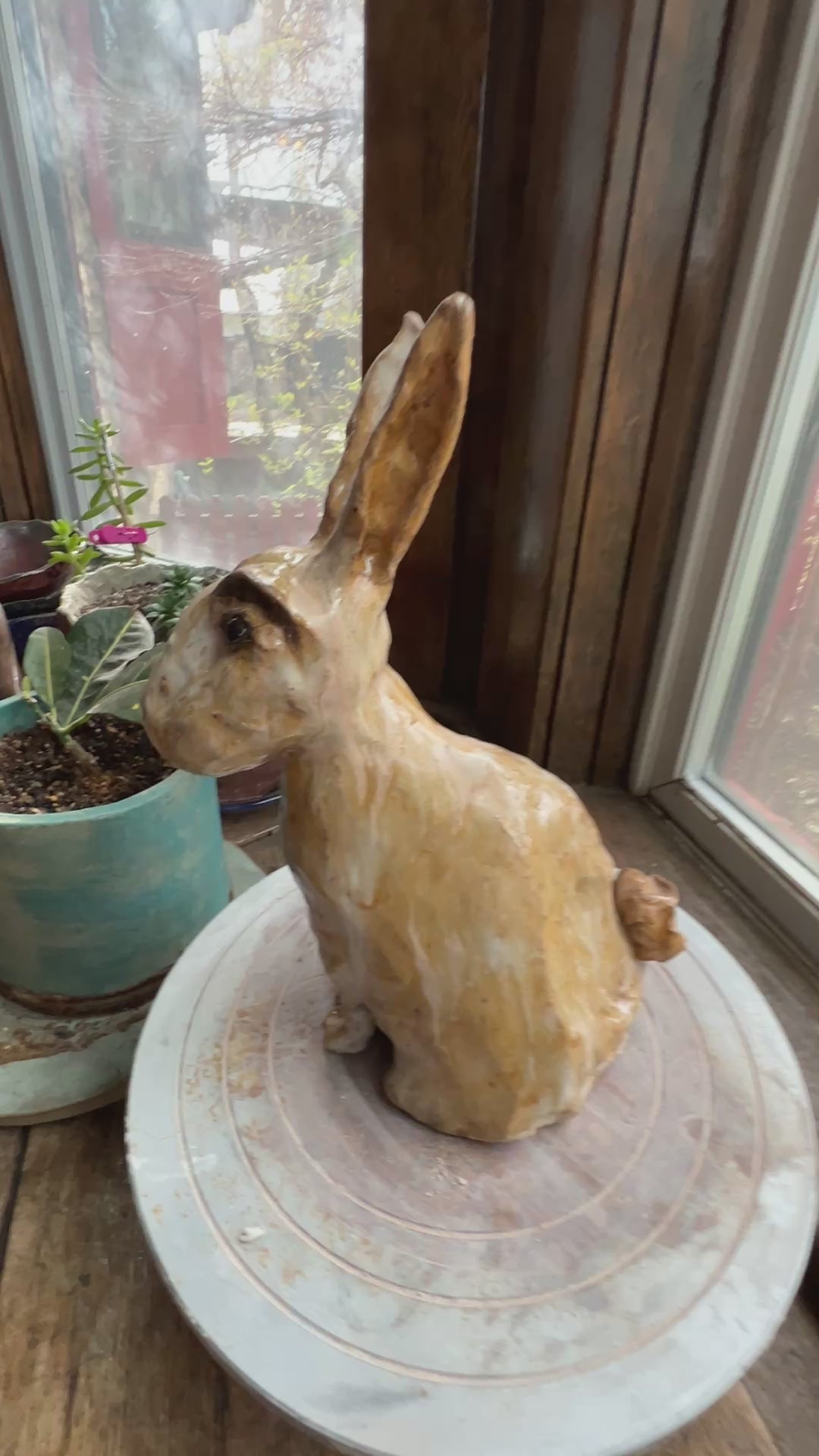 Vesper The country rabbit — a good-natured garden regular